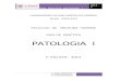 PATOLOGIA - I - 2014-GUIA PRACTICA.doc