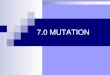 7.0 Mutation