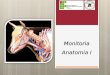 Anatomia - Zootecnia