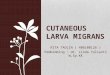 101832998 Cutaneous Larva Migrans