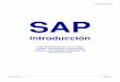 SAP - Introduccion.pdf