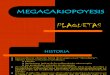 7.- Megacariopoyesis