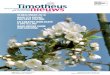 Timotheus Magazine 19