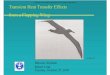 01000 Transient Heat Transfer Effects from a Flapping Wing_Presentation.pdf