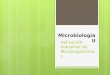 1 Aplicación Industrial de Microorganismos y Levaduras