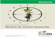 Modos de acción herbicida.pdf