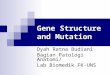 Gene Structure and Mutation