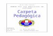 125769805 Carpeta Pedagogica Primaria