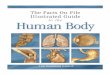Human Body ( ระบบร_างกายมน_ษย_ เล_ม 1 )