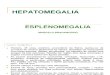 Hepatomegalia- Esplenomegalia