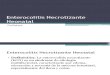 13 - Enterocolitis Necrotizante Neonatal
