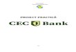 Proiect Practica CEC BANK
