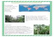 Ecosistemul Ecuatorial