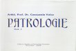Arhid.prof.Dr. Constantin Voicu - Patrologie Vol.I