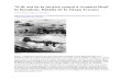Bătălia de La Târgu Frumos - Primavara 1944 - Historia '14