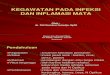 Kegawatan Pada Infeksi Dan Inflamasi Mata Dr Siti Sundari Sutedja Spm