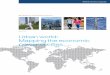 MGI Urban World Mapping Economic Power of Cities Full Report