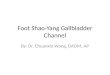 Class 9 - Foot Shao-Yang Gallbladder Channel