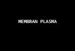 Pertemuan 2,3 Plasma Membran