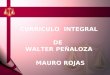 Curriculo Integral de Walter Peñaloza
