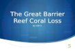 Global Issues - Great Barrier Reef