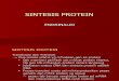 Sintesis Protein Ppt
