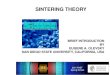 Olevsky - Theory of Sintering