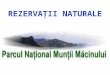 Rezervatii Naturale - Parcul National Muntii Macinului