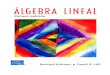 Algebra Lineal-Bernard Kolman 8a Ed