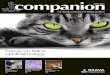 Companion June2011