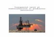 Transportul Naval Al Hidrocarburilor Si Produselor Petroliere