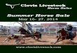Clovis Horse Sales Summer 2014 Catalog