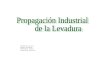 Seminario Propagación Industrial de La Levadura