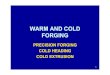 E4_Warm and Cold Forging