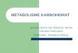 II. Metabolisme Karbohidrat