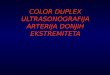 Color Duplex Ultrasonografija Arterija Donjih Ekstremiteta
