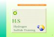 58741744 H2S Training Slides ENGLISH