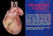 4. Embriogeneza cardiaca(1)