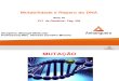 AULA 06 - Mutabilidade e Reparo Do DNA