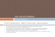 GLAUCOMA Generalidades , y tipos de angulo.pptx