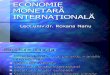 Economie Monetara Internationala