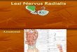 193627592 Lesi Nervus Radialis