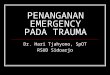 Penanganan Emergency Pada Trauma