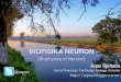 Biofisika Neuron