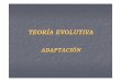 Teoría Evolutiva - Adaptación