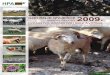 4 Ovce_koze i Male Zivotinje
