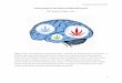 Getting High on the Endocannabinoid System