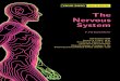5 YOUR BODY How It Works the Nervous System