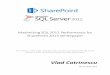 Maximizing SQL 2012 Performance for SharePoint 2013