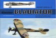 (Warpaint Series No.37) Gloster Gladiator